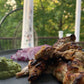 Afghani Malai Marinade (12 oz)